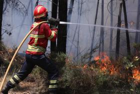 BOMBEIROS SENTEM FALTA DOS GOVERNOS CIVIS NA PREVENÇÃO E NO COMBATE A INCÊNDIOS