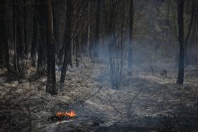 PROBABILIDADE BAIXA DE TEREM OCORRIDO RAIOS NA PROXIMIDADE DE DEFLAGRAÇÃO DO INCÊNDIO EM PEDRÓGÃO GRANDE – IPMA