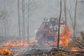 VENTO, REACENDIMENTOS E POUCOS MEIOS PREOCUPAM AUTORIDADES EM MAÇÃO