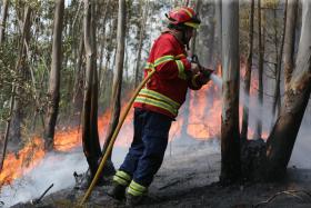 BOMBEIROS DEFENDEM PRESENÇA DE 1.200 PROFISSIONAIS NAS FLORESTAS TODO ANO