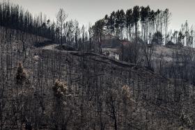 NÃO RESTA NENHUM CORPO POR IDENTIFICAR, EXAMINAR OU ENTREGAR À FAMÍLIA – GOVERNO