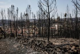 ESTADO DISPONÍVEL PARA ADIANTAMENTO ÀS EMPRESAS AFETADAS PELOS INCÊNDIOS NA REGIÃO CENTRO