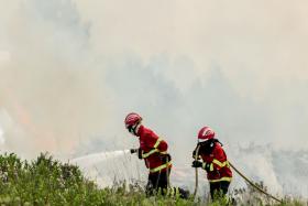 BOMBEIROS COMBATEM FOGO EM ZONA DE MATO E PINHAL NO SEIXAL