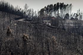 CIÊNCIA APLICADA À PREVENÇÃO DE FOGOS É TEMA DE ENCONTRO NACIONAL EM LISBOA