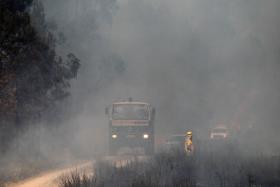 INCÊNDIOS: FOGO EM ÓBIDOS EXTINTO DEPOIS DE COMBATIDO POR UMA CENTENA DE BOMBEIROS