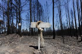 INCÊNDIOS: APOSTA NA REANIMAÇÃO DO TURISMO NO CENTRO CUSTA 25 MILHÕES DE EUROS