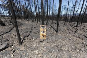 INCÊNDIOS: PROTEÇÃO CIVIL DESCONHECE OUTRAS VÍTIMAS FORA DA LISTA DAS 64