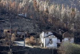 INCÊNDIOS: DETIDO SUSPEITO DE ATEAR CINCO FOGOS EM SANTA COMBA DÃO, VISEU