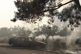 INCÊNDIOS: ESTAÇÃO MÓVEL DE COMUNICAÇÕES A CAMINHO DE ALIJÓ POR FALHAS NO SIRESP