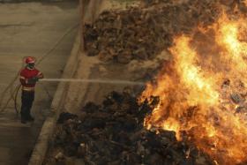 INCÊNDIO DE ALIJÓ APROXIMA-SE DE CASAS EM VILA CHÃ E ASSUSTA POPULAÇÃO