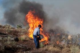 INCÊNDIOS: FOGO EM ROCHOSO, NA GUARDA, EM RESCALDO COM 608 OPERACIONAIS