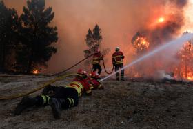 INCÊNDIO EM OLEIROS CORTA EN 238 E EVOLUI EM DIREÇÃO À FREGUESIA DE MOSTEIRO