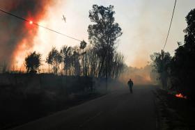 FOGO DE MANGUALDE CONSUMIU MAIS DE 50% DA ÁREA DA FREGUESIA DE TAVARES
