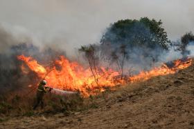 AUTARCA DE MAÇÃO CONTABILIZA PERTO DE 20 MIL HECTARES DE ÁREA ARDIDA