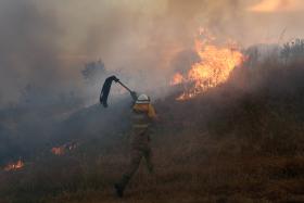 DOMINADO FOGO EM PENACOVA