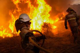 INCÊNDIOS: TODOS OS FOGOS ESTAVAM DOMINADOS ÀS 09:00  – ANPC