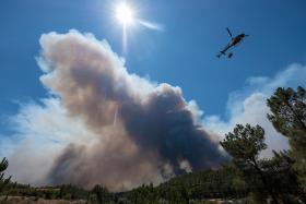 PRESIDENTE DA CÂMARA DE MAÇÃO DIZ QUE JÁ ARDEU QUASE METADE DA ÁREA FLORESTAL