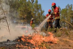 DOMINADO CERCA DE 70% DO FOGO EM BELVER, GAVIÃO – BOMBEIROS