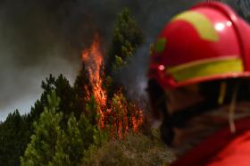 FOGO DESTRÓI CASA DE HABITAÇÃO E DESALOJA UMA PESSOA NA GUARDA