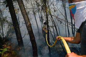 FOGO DE PENACOVA PROGRIDE EM DIREÇÃO A COIMBRA E VILA NOVA DE POIARES