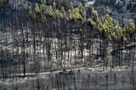 INCÊNDIOS: DESATIVADO PLANO MUNICIPAL DE EMERGÊNCIA E PROTEÇÃO CIVIL DE NISA