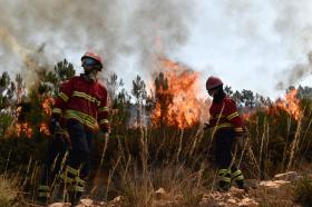 FOGO DE MAÇÃO ENTRA EM VILA VELHA DE RÓDÃO E OBRIGA À EVACUAÇÃO DE GARDETE