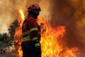 BOMBEIROS COMBATEM INCÊNDIO EM SOBRAL DA CEIRA EM ZONA DE POVOAMENTO