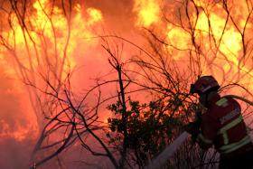 MAIS DE MEIA CENTENA DE CONCELHOS DO PAÍS EM RISCO ‘MÁXIMO’ DE INCÊNDIO