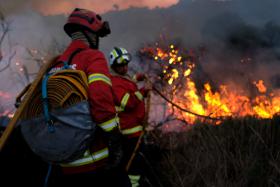 FOGO DE MANGUALDE REATIVOU, CHAMAS ESTÃO A SER LEVADAS PARA QUEIMADO