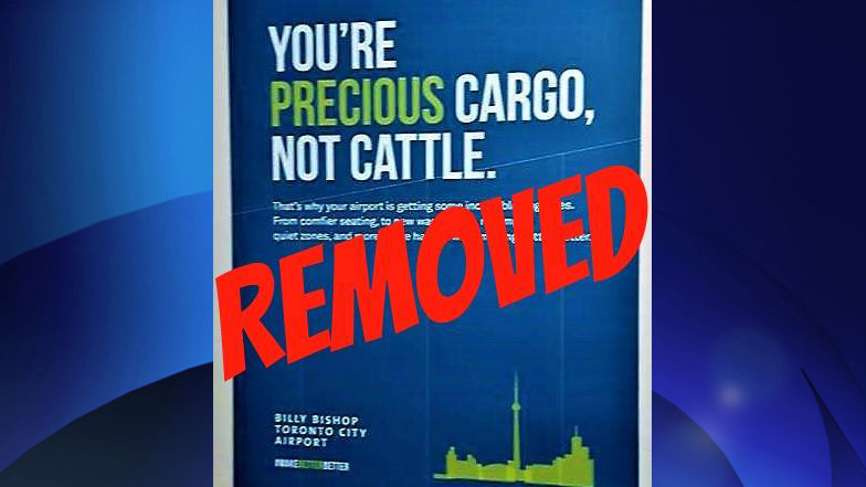 cargonotcattle16x9 Len Goldberg via Facebook