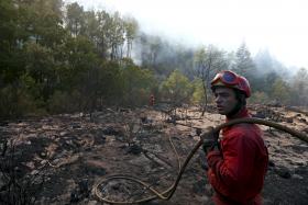 DOMINADO FOGO QUE QUEIMOU PINHAL EM RIBEIRA DE PENA