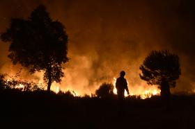 UM ANO DEPOIS DO INCÊNDIO, AROUCA E S. PEDRO DO SUL RECUPERAM DA CALAMIDADE