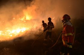FOGO EM NELAS OBRIGA AO CORTE DA LINHA DA BEIRA ALTA