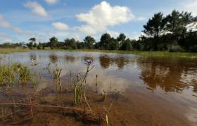 GOVERNO GARANTE JÁ TER ADOTADO MEDIDAS DE APOIO A AGRICULTORES AFETADOS PELA SECA
