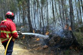 FOGOS DE OLEIROS ESTÃO DOMINADOS
