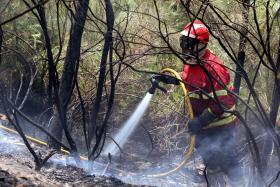 500 BOMBEIROS E 14 MEIOS AÉREOS COMBATEM DOIS FOGOS EM OLEIROS