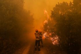 ATIVADO PLANO DE EMERGÊNCIA MUNICIPAL EM COIMBRA DEVIDO A INCÊNDIO FLORESTAL