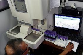 MACAU REGISTA SEXTO CASO LOCAL DE FEBRE DE DENGUE