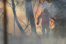 AJUDAR PORTUGAL NO COMBATE AOS INCÊNDIOS NESTE MOMENTO É PRIORIDADE DA UE — COMISSÃO EUROPEIA