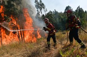 MAÇÃO VIVE SITUAÇÃO “DRAMÁTICA” E INICIA EVACUAÇÃO DA ALDEIA DE VALE DE AMÊNDOA DEVIDO AO FOGO