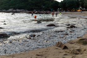 MAIS DE UMA DÚZIA DE PRAIAS INTERDITAS EM HONG KONG APÓS DERRAME DE ÓLEO DE PALMA