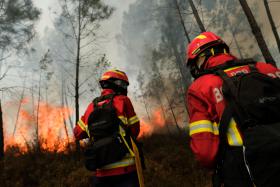CÂMARA DE VILA REAL ACIONA PLANO DE EMERGÊNCIA MUNICIPAL NA SEQUÊNCIA DO INCÊNDIO