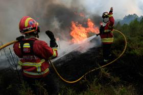 INCÊNDIOS: MAIS DE 1.300 OPERACIONAIS COMBATEM FOGOS, ABRANTES COM MAIOR NÚMERO DE MEIOS