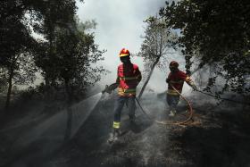 AUTOESTRADA COIMBRA-FIGUEIRA DA FOZ ENCERRADA ENTRE ANÇÃ E ARAZEDE DEVIDO A INCÊNDIO