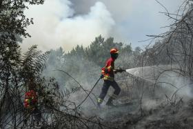 DOMINADO FOGO EM GRÂNDOLA – ANPC