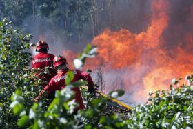TRÂNSITO CORTADO NA A3 NOS DOIS SENTIDOS ENTRE MAIA E SANTO TIRSO DEVIDO A INCÊNDIO