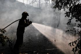 FOGO NA ZONA DE TORRES VEDRAS OBRIGA AO CORTE DA A8 NOS DOIS SENTIDOS