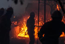 INCÊNDIOS: FOGO EM ABRANTES COM “SITUAÇÕES ESTRANHAS” E “LONGE DE CONTROLADO” – AUTARCA