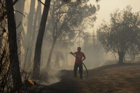 INCÊNDIOS: 1.900 BOMBEIROS COMBATEM ESTA NOITE 15 FOGOS NO CENTRO DO PAÍS