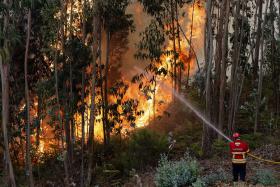 UM AVIÃO E 82 OPERACIONAIS COMBATEM FOGO EM MIRANDA DO CORVO, BRAGANÇA